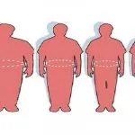Obesità, gene brucia grassi trasforma il grasso in calore