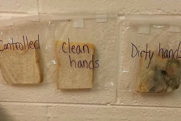 Toccare il pane senza lavarsi le mani può essere mortale