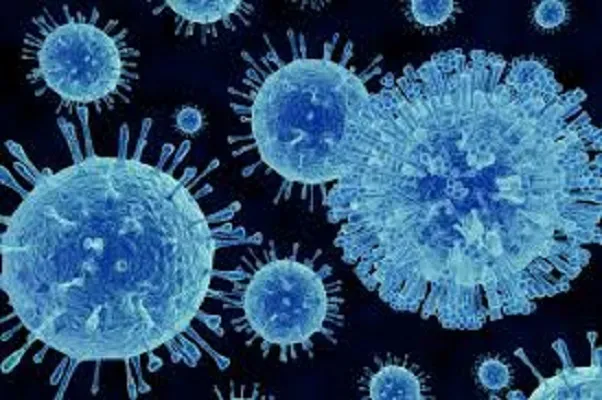 Influenza 2018 Norovirus, sintomi e cura adulti e bambini