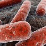Caso Tbc a Sondrio, sette casi di contagio tra adolescenti
