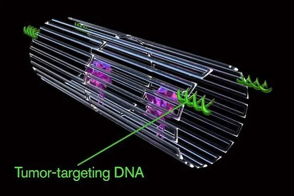 Nanorobot con frammenti di DNA uccidono il cancro