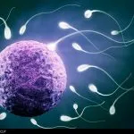 Pochi spermatozoi? Rischio infertilità ma anche salute in generale