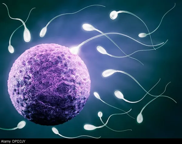 Pochi spermatozoi? Rischio infertilità ma anche salute in generale