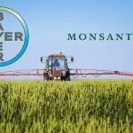 Bayer ha acquisito Monsanto: accordo da 63 miliardi