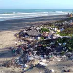 Microplastiche nel sangue: rischi e conseguenze per la salute umana