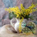 Festa della donna: perché si regala la mimosa? Il significato del simbolo