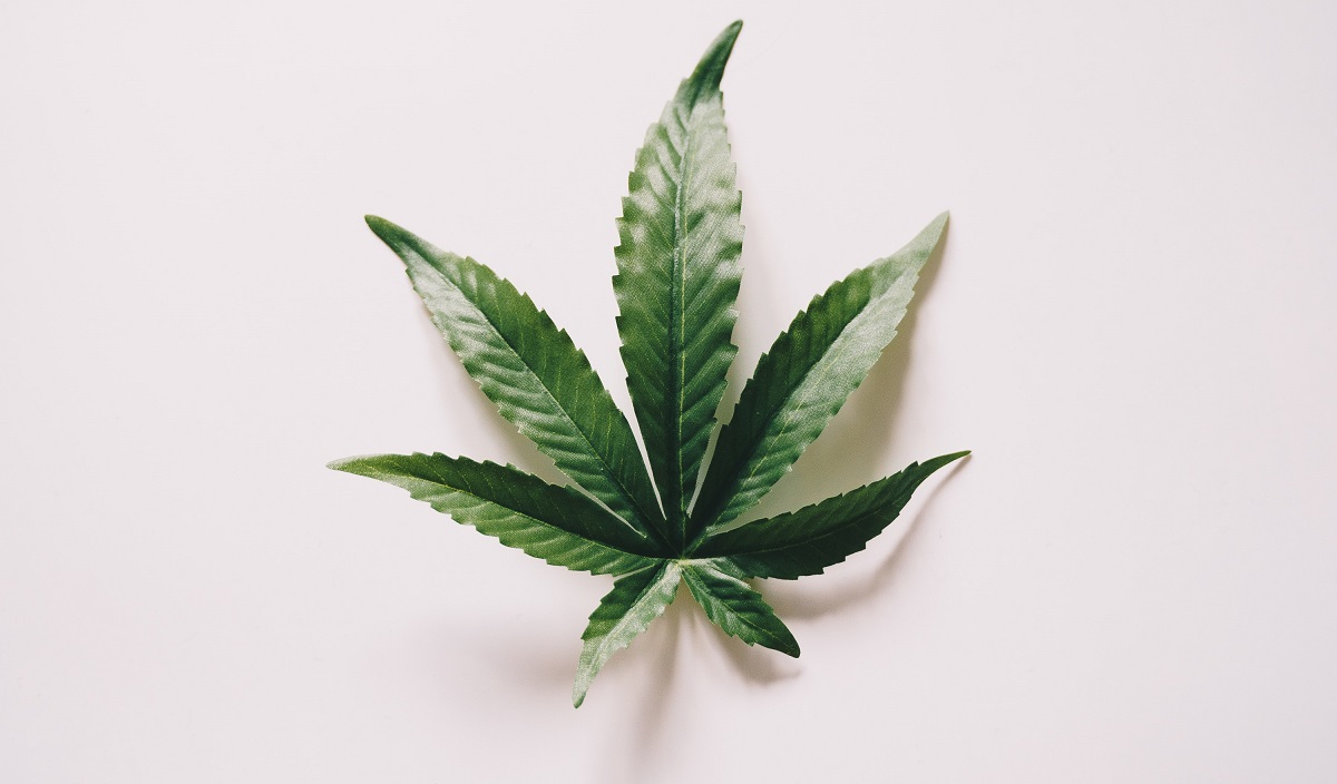 5 Cose da sapere sulla Cannabis Light