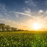 Dalla città alla campagna: il nuovo trend per una vita più sana