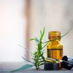 Ecco uno dei settori con più margine di crescita nell'immediato futuro