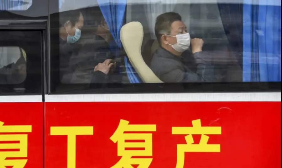 Hantavirus: cos'è e come viene trasmesso