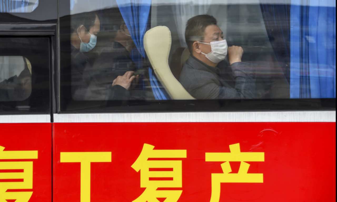 Hantavirus: cos'è e come viene trasmesso