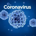 Coronavirus Torino: l'aumento dei positivi adesso preoccupa