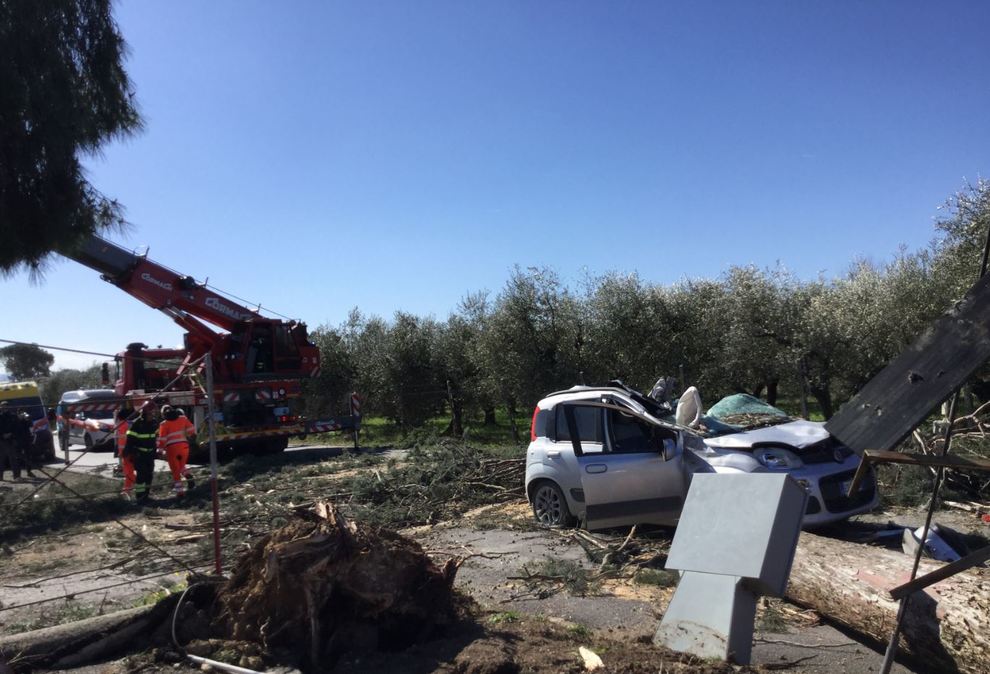 Roma, albero si abbatte su un'auto a Guidonia: morto un uomo di 45 anni