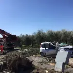 Roma, albero si abbatte su un'auto a Guidonia: morto un uomo di 45 anni