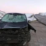 Aquila, auto investe cavallo a Lucoli sul Valico della Crocetta