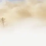 Ferrara, incidente e tamponamento a catena per nebbia