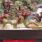 Cura della pelle: usare il fungo Ganoderma