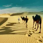 Deserto del Sahara: può davvero trasformarsi in un'oasi verde?