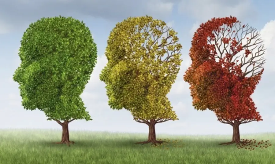La sonnolenza aumenta i rischi di Alzheimer. Questi i campanelli d'allarme