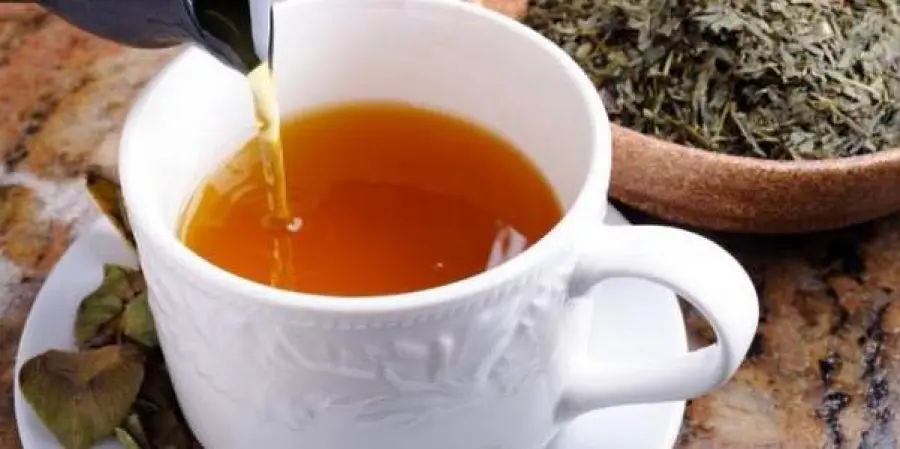 Una tazza di Tè al giorno contro la demenza senile, tutte le proprietà benefiche