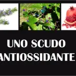 Rosmarino, melograno e semi di vite sostituiscono gli antiossidanti per gli astronauti