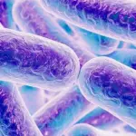 Cellule immunitarie: tutto parte dal cervello