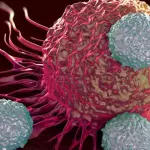 Car-T, terapia cellulare per i tumori: c'è il via libera dall'Europa