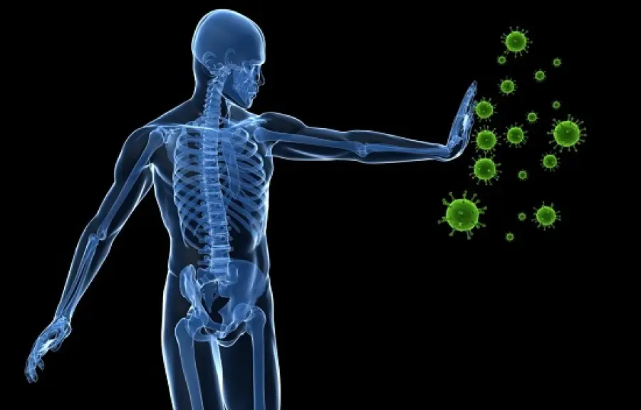 L'Uomo Antibiotico: la sensazionale scoperta dall'università di Napoli