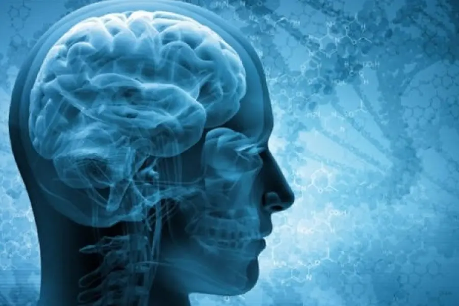 La sinapsina 3 cos'è?