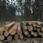 Overshoot day, esaurite tutte le risorse del 2018