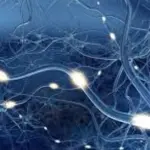 Dolore neuropatico? Curiamolo con il digiuno intermittente