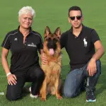 La straordinarietà del pastore tedesco: ecco perché allevarli