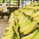 Banane a rischio estinzione: ecco cosa sta succedendo