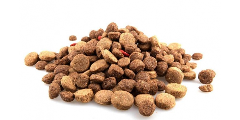 Come scegliere i migliori croccantini per cani