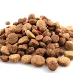 Come scegliere i migliori croccantini per cani