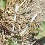 Bimbo punto con una siringa, panico al villaggio dei Fiori