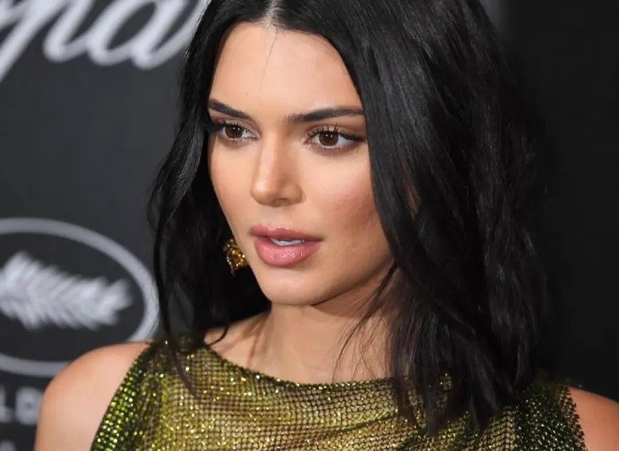 Festival del cinema di Cannes:  Kendall Jenner non lascia nulla all'immaginazione