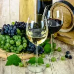Italia e vini: tra i più amati c’è il Conte Zecca