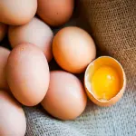 Salmonella nella uova, 22 persone intossicate