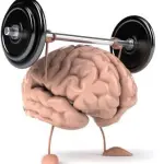 Cervello degli anziani: come quello dei giovani produce nuovi neuroni