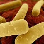 Botulismo alimentare, muore una coppia: il sospetto è su un pesto in commercio