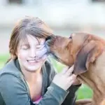 Fiuto canino: il cane scopre il tumore della padroncina annusandola