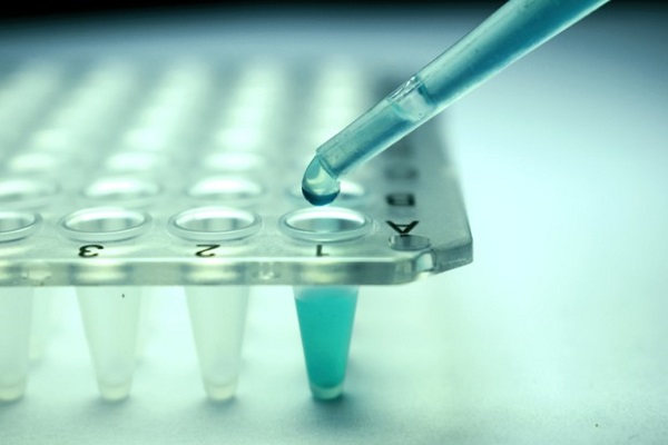 Cellule staminali per recuperare la vista, al via l'innovativa cura