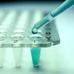 Cellule staminali per recuperare la vista, al via l'innovativa cura