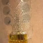 Elettrodi da esami clinici, tatuarli e poi lavarli via