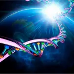 Raggi solari, i danni che provocano contengono la formula anti cancro? La ricerca dice si