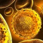 Farmaco epatite C: nuova cura che agisce in sole 8 settimane