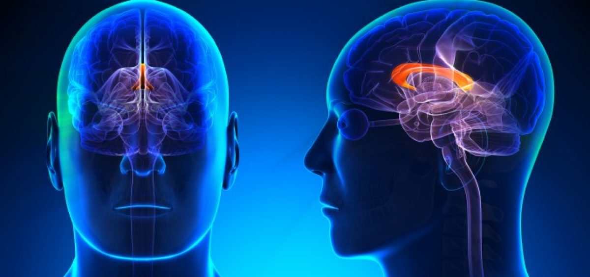 Sclerosi multipla, scoperta una tecnica per ridurre l'infiammazione