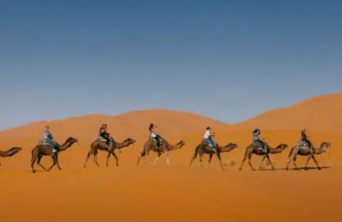 Deserto del Sahara una volta era verdeggiante, parola del DNA