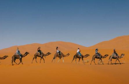 Deserto del Sahara una volta era verdeggiante, parola del DNA